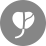 org 16